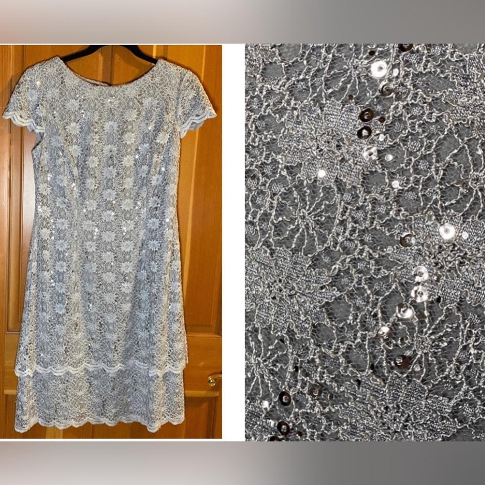 Alex Evenings Stunning Dove Grey Sequined Cocktail Dress